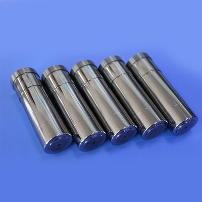 Powder Metallurgy Tungsten Steel Pressing Die Carbide Core Insert