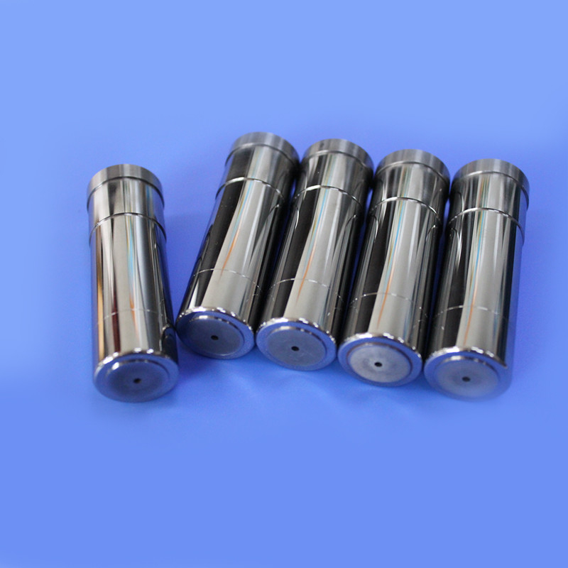 Powder Metallurgy Tungsten Steel Pressing Die Carbide Core Insert